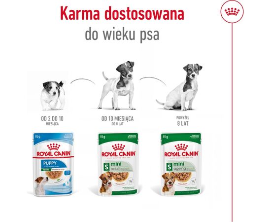 ROYAL CANIN MINI AGEING 12+ WET DOG FOOD CHUNKS IN SAUCE 12X85 G