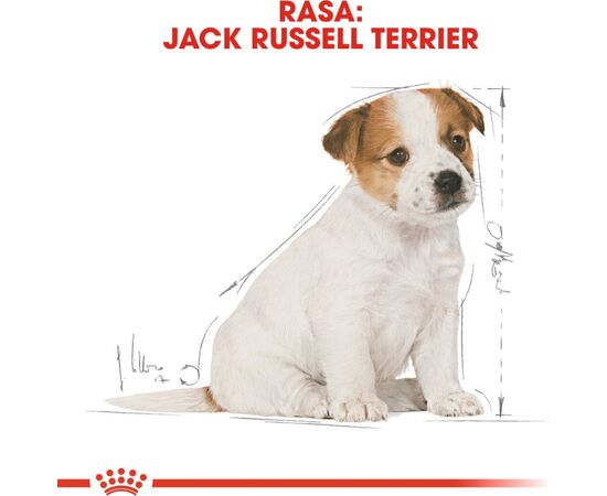 ROYAL CANIN JACK RUSSELL JUNIOR PUPPY POULTRY,RICE 3 KG