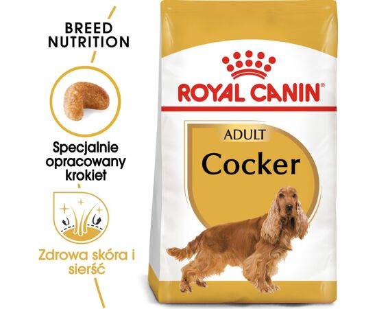 ROYAL CANIN COCKER ADULT 12 KG CORN, POULTRY, RICE