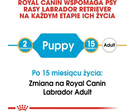 ROYAL CANIN BHN LABRADOR RETRIEVER PUPPY - DRY PUPPY FOOD - 3KG