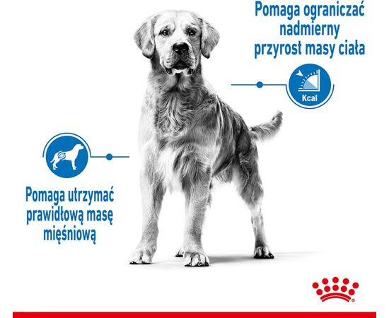 ROYAL CANIN SHN MEDIUM LIGHT CARE 3 KG