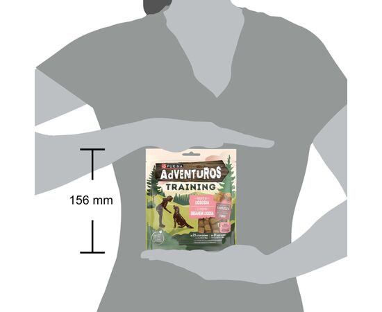 PURINA NESTLE PURINA ADVENTUROS TRAINING SALMON - DOG TREAT - 115G