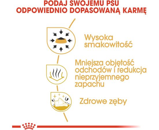 ROYAL CANIN BHN CHIHUAHUA ADULT - DRY DOG FOOD - 1.5KG