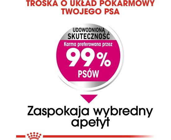 ROYAL CANIN MINI EXIGENT - DRY FOOD FOR FUSSY DOGS - 1KG