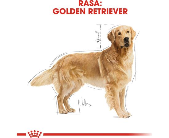 ROYAL CANIN GOLDEN RETRIEVER ADULT 12 KG
