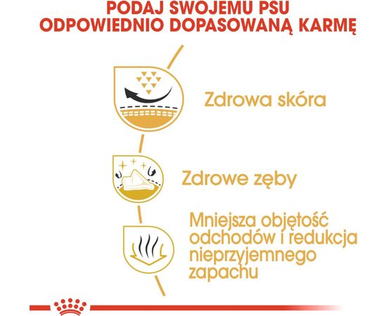 ROYAL CANIN BHN SHIH TZU ADULT -.DRY FOOD FOR ADULT DOGS - 7.5KG