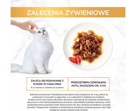 PURINA NESTLE GOURMET GOLD - CASSEROLE BEEF AND CHICKEN 85G