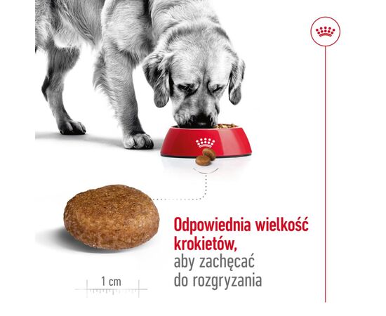 ROYAL CANIN MAXI ADULT 5+ 15 KG POULTRY, RICE