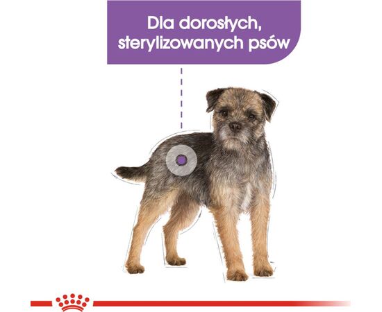 ROYAL CANIN MINI STERILISED - DRY FOOD FOR ADULT DOGS, SMALL BREEDS, AFTER STERILISATION - 1KG
