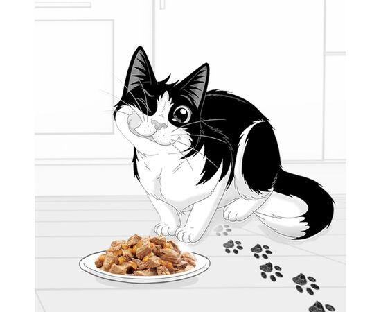 PURINA NESTLE PURINA FELIX FANTASTIC RABBIT IN JELLY - WET CAT FOOD - 85G