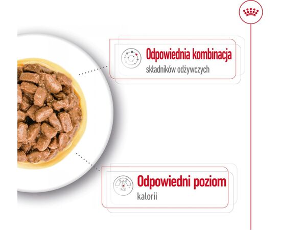 ROYAL CANIN MINI AGEING 12+ WET DOG FOOD CHUNKS IN SAUCE 12X85 G