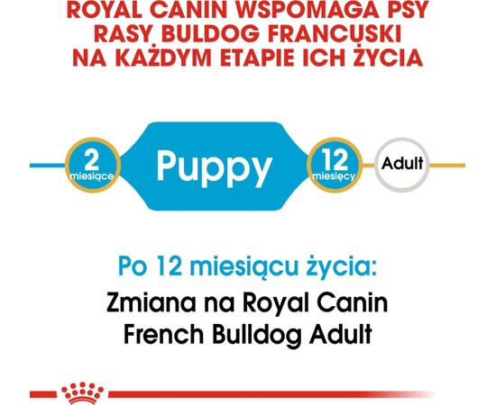 ROYAL CANIN FRENCH BULLDOG JUNIOR PUPPY 3 KG