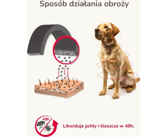 BEAPHAR BIOCIDAL COLLAR FOR SMALL AND MEDIUM DOGS - 50 CM