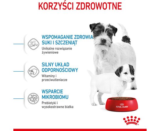 ROYAL CANIN SHN MINI STARTER MOTHER & BABYDOG - DRY DOG FOOD - 4 KG