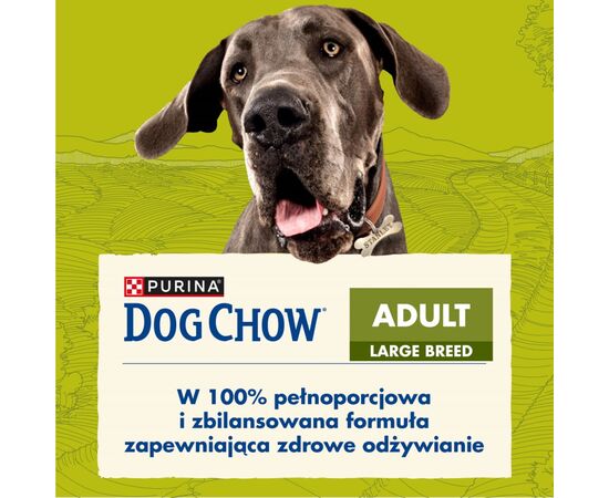 PURINA NESTLE PURINA DOG CHOW LARGE BREED ADULT 14 KG TURKEY