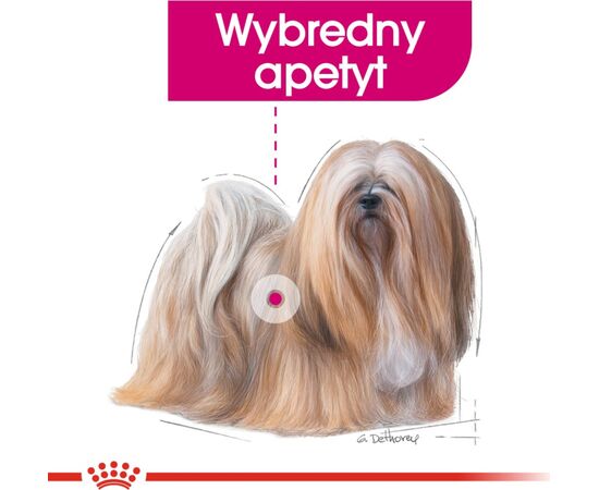 ROYAL CANIN CCN MINI EXIGENT - DRY FOOD FOR ADULT DOGS - 3KG