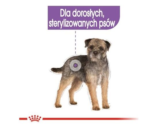 ROYAL CANIN CCN STERILISED LOAF - WET FOOD FOR ADULT DOGS - 12X85G