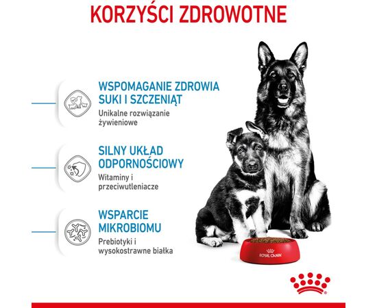 ROYAL CANIN SHN MAXI STARTER MOTHER & BABYDOG - DRY DOG FOOD - 4 KG