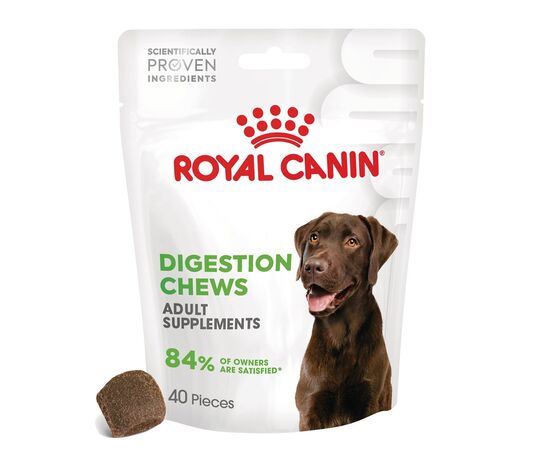 ROYAL CANIN SUPPLEMENTS DOG DIGESTION ADULT - DOG VITAMINS - 160G