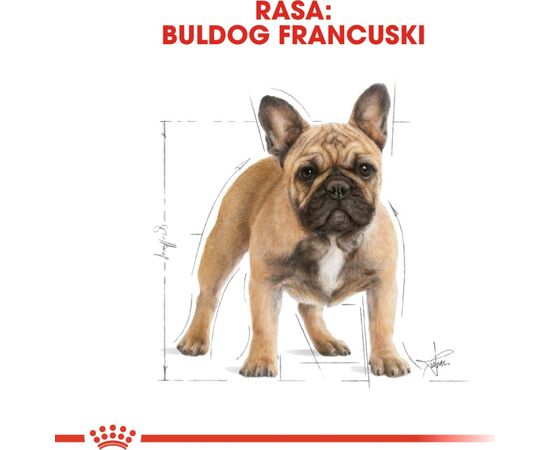 ROYAL CANIN BHN FRENCH BULLDOG ADULT - DRY DOG FOOD - 9KG