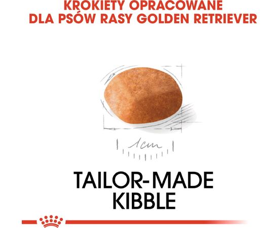 ROYAL CANIN GOLDEN RETRIEVER JUNIOR PUPPY POULTRY 12 KG