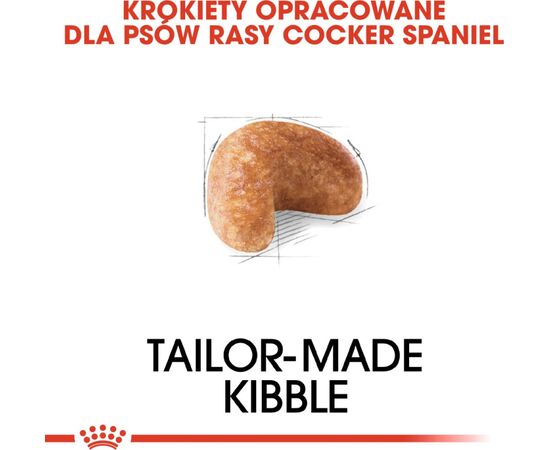 ROYAL CANIN COCKER ADULT 12 KG CORN, POULTRY, RICE