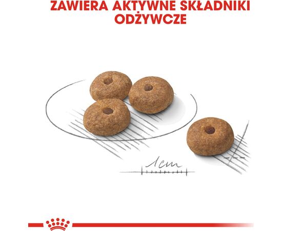 ROYAL CANIN MINI STERILISED 8 KG ADULT