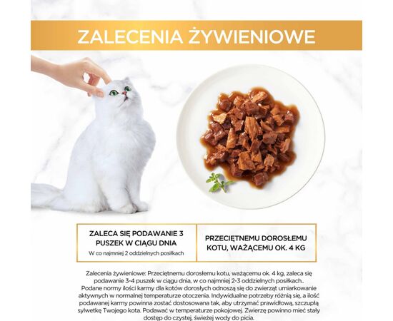 PURINA NESTLE GOURMET GOLD - CASSEROLE DUCK AND TURKEY 85G
