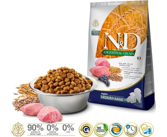FARMINA N&D ANCESTRAL GRAIN PUPPY MEDIUM&MAXI LAMB DRY DOG FOOD - 12 KG