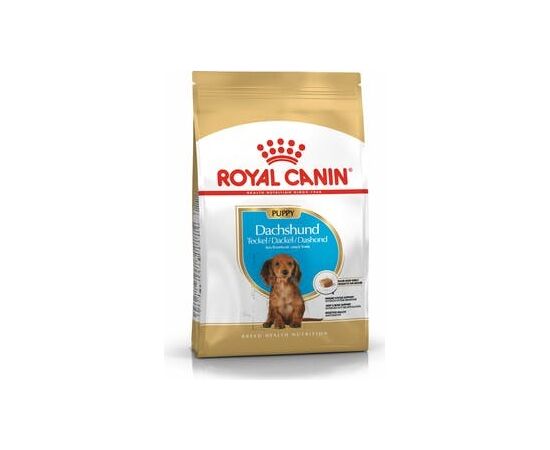 ROYAL CANIN FOOD ROYAL CANIN SHN BREED DACHSHUND JUN 1.5 KG