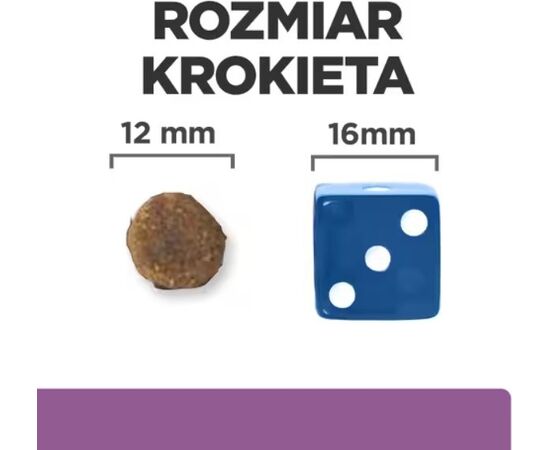 HILL'S PD B/D BRAIN AGING CARE CHICKEN - DRY DOG FOOD - 12KG