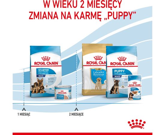 ROYAL CANIN SHN MAXI STARTER MOTHER & BABYDOG - DRY DOG FOOD - 4 KG