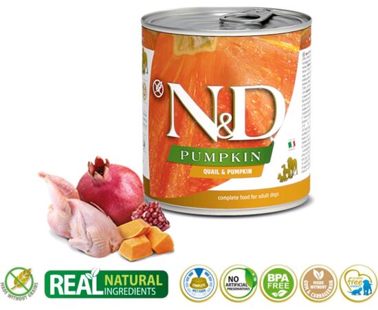 FARMINA PET FOOD N&D PUMPKIN GRAIN-FREE CANINE 285G CHICKEN, VEGETABLE ADULT