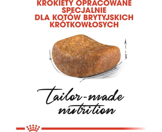 ROYAL CANIN BRITISH SHORTHAIR ADULT CATS DRY FOOD 10 KG