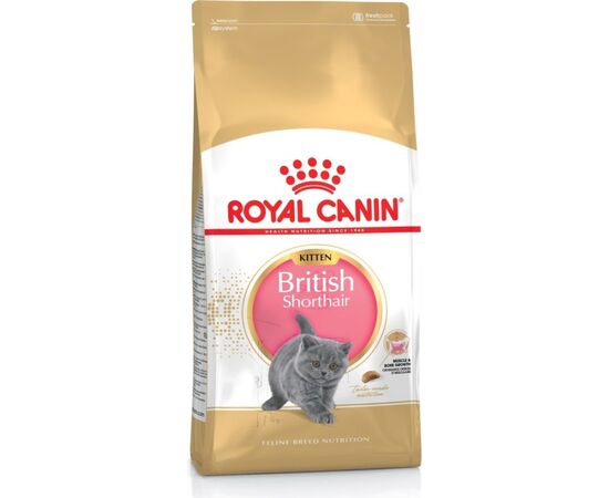 ROYAL CANIN BRITISH SHORTHAIR KITTEN CATS DRY FOOD 2 KG POULTRY, RICE, VEGETABLE