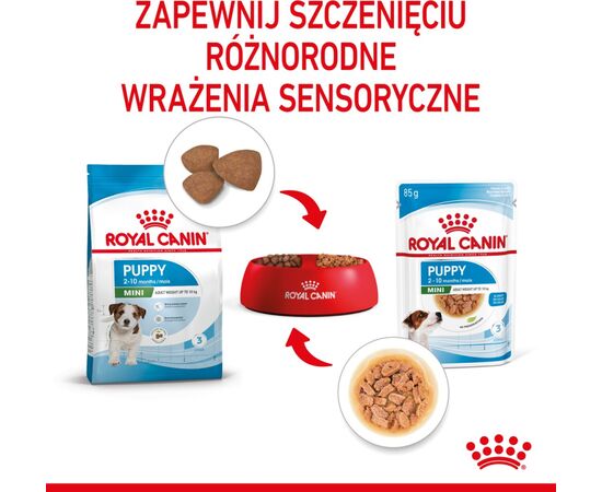 ROYAL CANIN SHN MINI PUPPY IN SAUCE - WET PUPPY FOOD - 12X85G