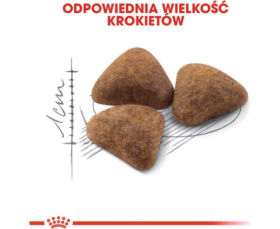 ROYAL CANIN HOME LIFE INDOOR 27 CATS DRY FOOD 400 G ADULT