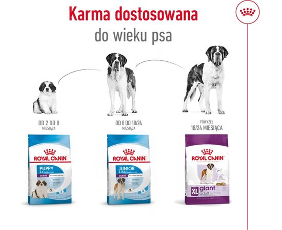 ROYAL CANIN GIANT ADULT 15 KG