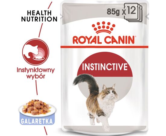 ROYAL CANIN FHN INSTINCTIVE IN JELLY - WET FOOD FOR ADULT CATS - 12X85G