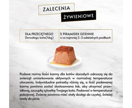 PURINA NESTLE PURINA GOURMET REVELATIONS SALMON - WET CAT FOOD - 2X57 G