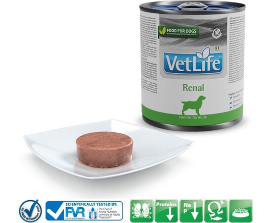 FARMINA VET LIFE DIET DOG RENAL 300 G