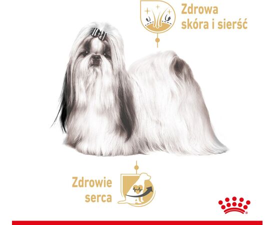 ROYAL CANIN SHIH TZU ADULT WET DOG FOOD PÂTÉ 12X85 G
