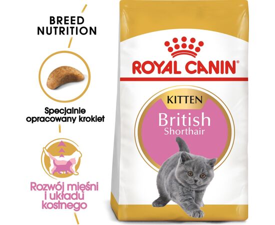 ROYAL CANIN BRITISH SHORTHAIR KITTEN CATS DRY FOOD 2 KG POULTRY, RICE, VEGETABLE