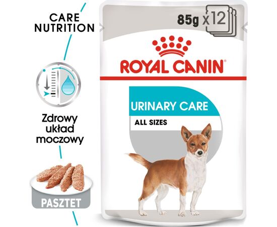 ROYAL CANIN CCN URINARY CARE LOAF - WET FOOD FOR ADULT DOGS - 12X85G