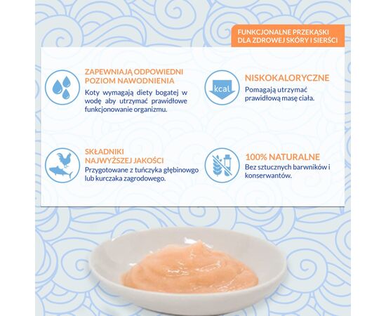 INABA CHURU SKIN&COAT CHICKEN RECIPE - CAT TREATS - 4X14 G