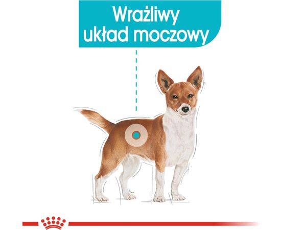 ROYAL CANIN CCN URINARY CARE LOAF - WET FOOD FOR ADULT DOGS - 12X85G