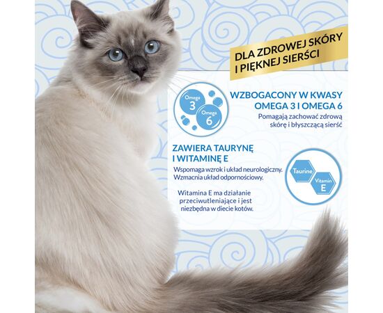 INABA CHURU SKIN&COAT CHICKEN RECIPE - CAT TREATS - 4X14 G