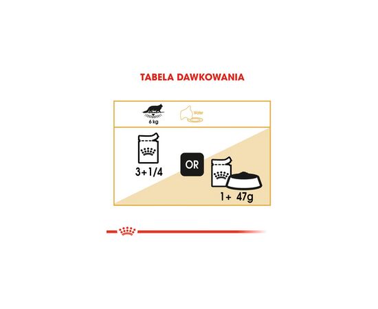 ROYAL CANIN FBN MAINE COON - CAT WET FOOD - SACHET 12X 85G