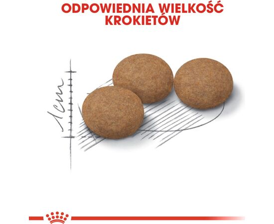 ROYAL CANIN SENIOR AGEING STERILISED 12+ CATS DRY FOOD CORN,POULTRY,VEGETABLE 2 KG