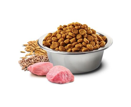 FARMINA PET FOOD N&D ANCESTRAL GRAIN CANINE 15 KG ADULT CHICKEN